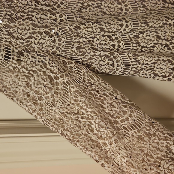 Taupe Lacey Dress| Jessica Howard| W Sz. 14 |Bridal, Winter Formal, Fairycore - Picture 5 of 13